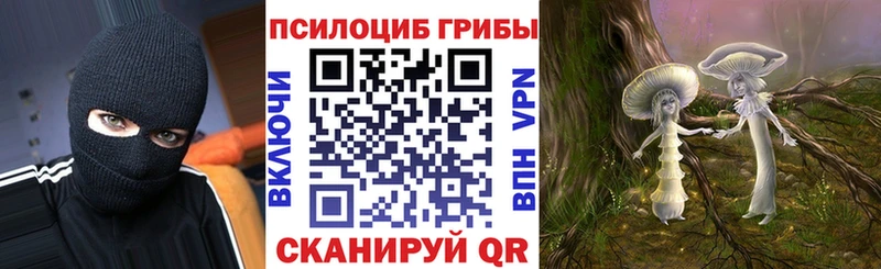 МЕГА зеркало  где можно купить наркотик  Дмитров  Галлюциногенные грибы мухоморы 