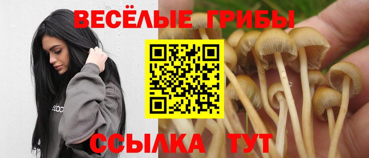 купить наркоту  Псилоцибиновые грибы прущие грибы  Вход с VPN  Галлюциногенные грибы мухоморы  Дмитров 