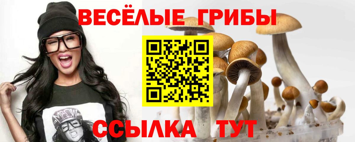 Псилоцибиновые грибы прущие грибы Дмитров